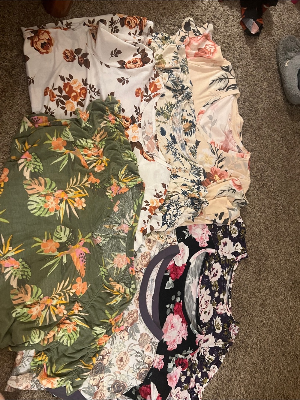 Women's Floral Mixed-Color Button & V-Neck Tops - Assorted Floral Prints